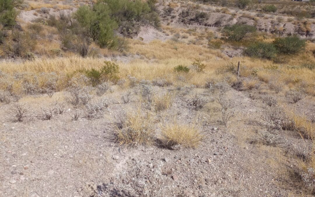 Terreno Ejidal, cerca del Hotel de la Caseta