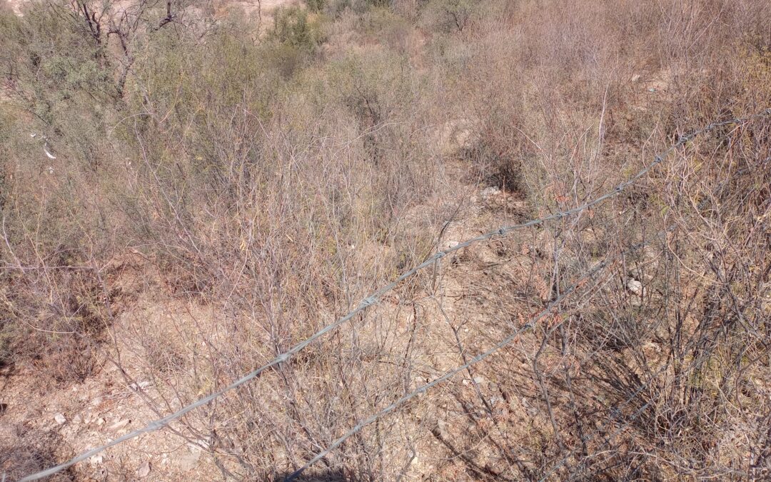 Terreno Ejidal en Venta – 1,086 m² Aprox.